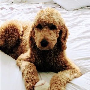 Meet your Posher, Donna